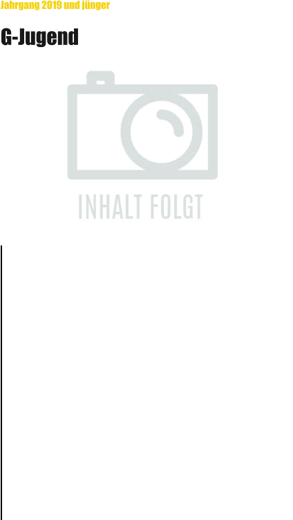 Jahrgang 2019 und jünger G-Jugend